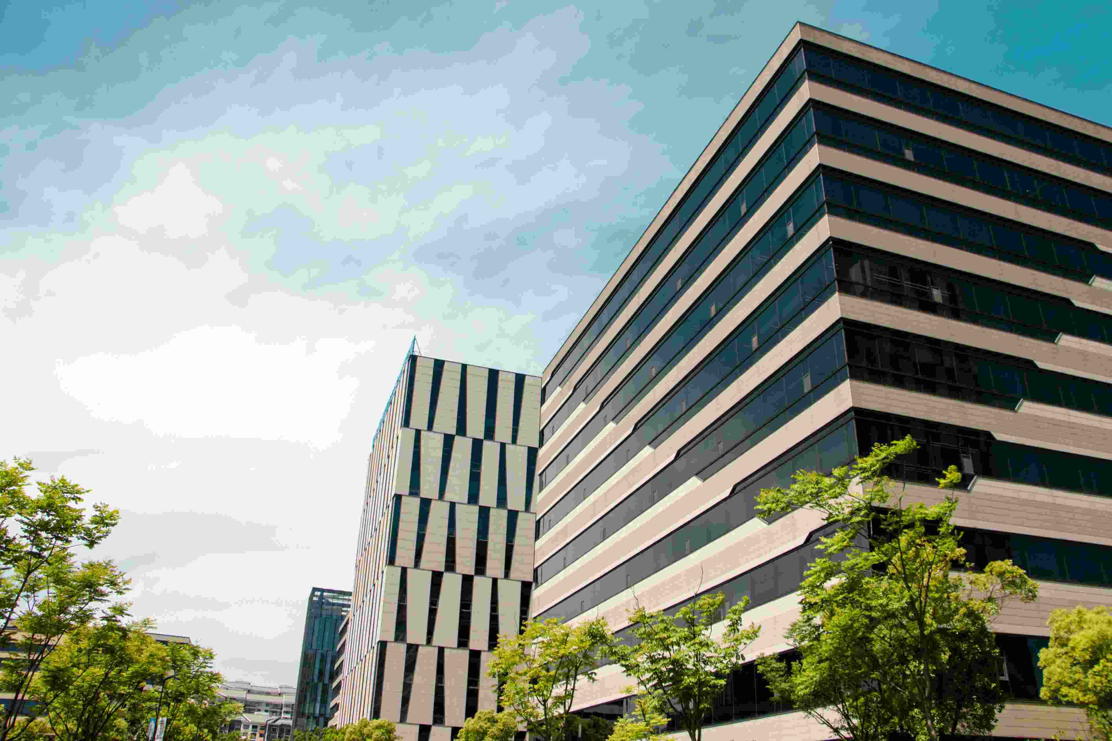 管理知識：如何當“老二”