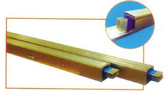 �X�Ͻ�ĸ����