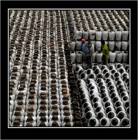 酒水行業(yè):中國釀酒行業(yè)的最新發(fā)展趨勢 酒水行業(yè):中國釀酒行業(yè)的最新發(fā)展趨勢