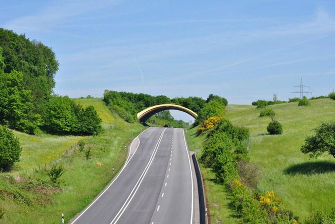 所謂初心，就是以終為始