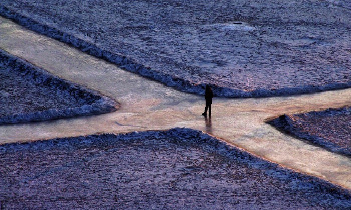 在人生的十字路口，請選擇難走的那條路