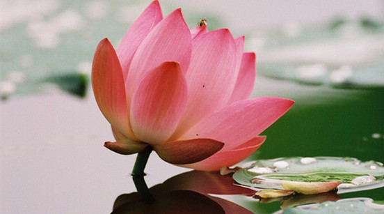 “這群人”仍在堅(jiān)守內(nèi)心的高貴