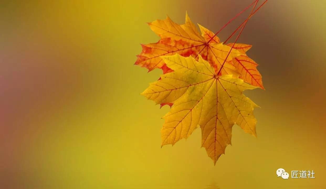 蔣小華：你的品格與修養(yǎng)，為何一看便知？