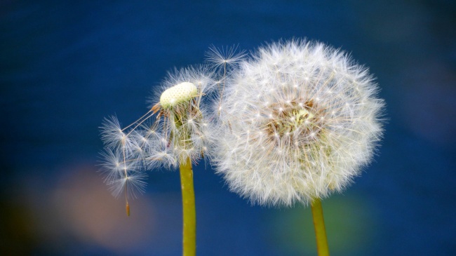 為什么優(yōu)秀員工也開始“摸魚打混”？